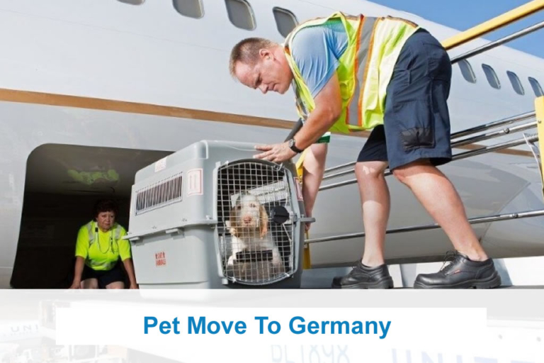 Pet Transport To Germany USA To Germany Pet Transport
