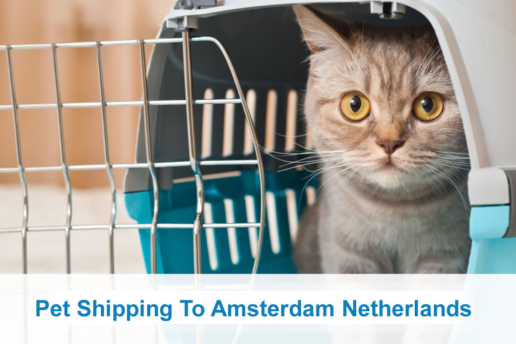 Pet Shipping To Amsterdam Netherlands