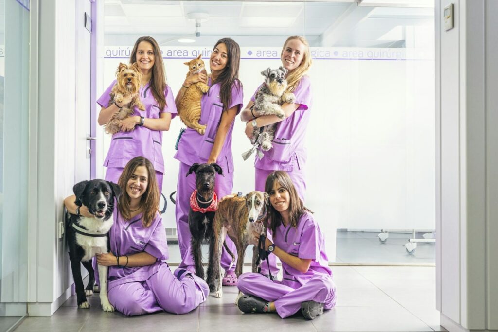 Six smiling veterinary staff in purple scrubs posing with assorted dogs and a cat inside a veterinary clinic with white walls and glass partitions.